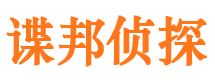 东海岛调查公司